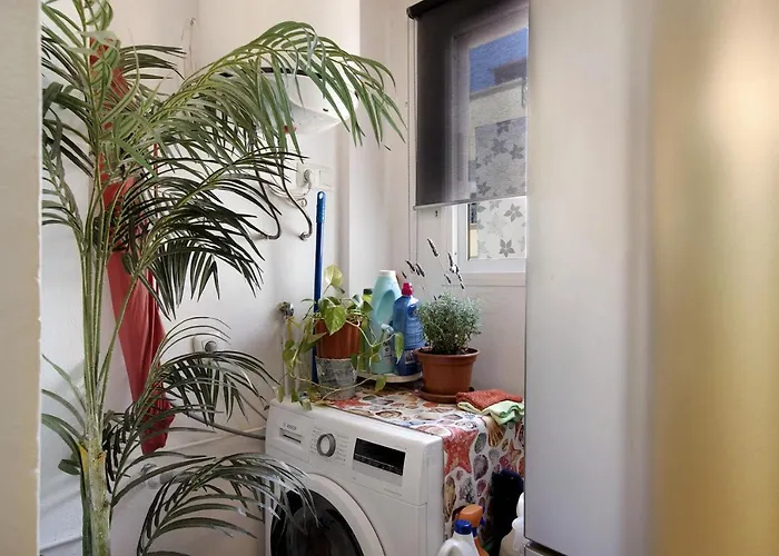 Sabor A Hogar Y Más Apartamento